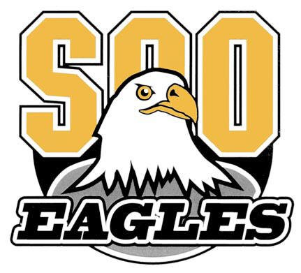Soo Eagles 2015-Pres Primary Logo iron on heat transfer
